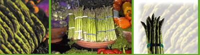 prod_foto_asparagus.gif