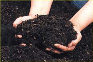 compost.jpg